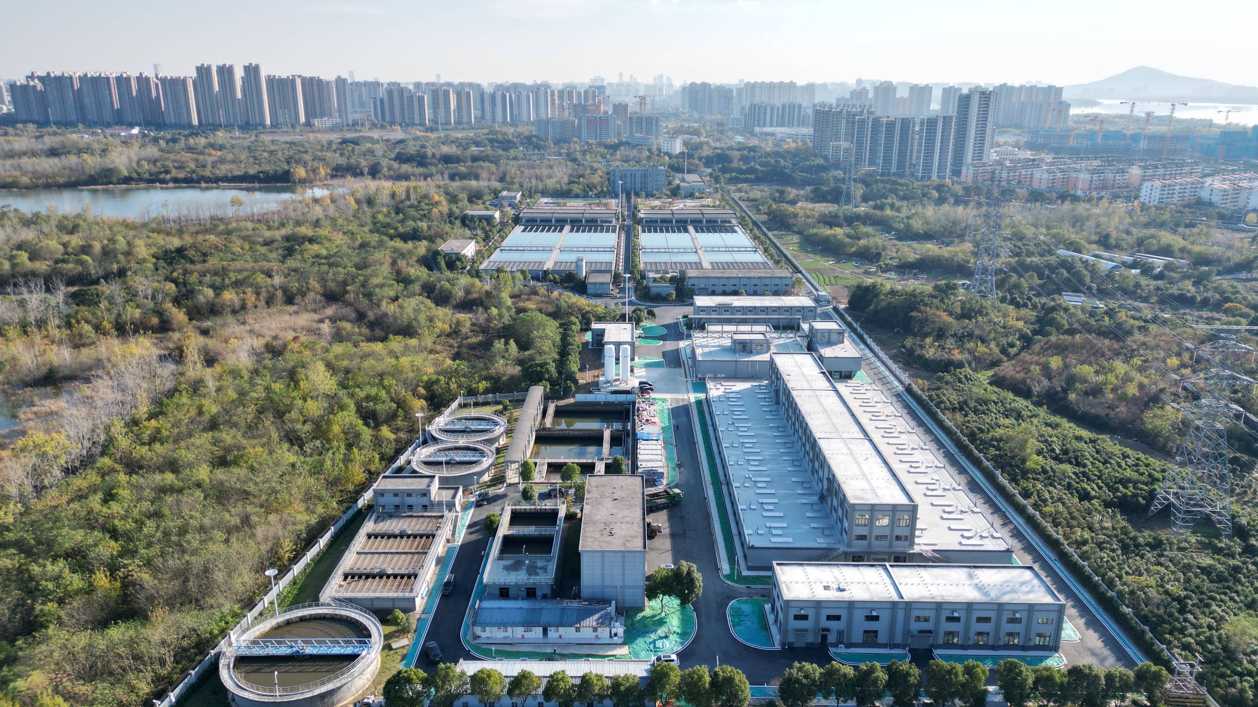 揭阳市合肥专业企业价值增长(合肥市重点企业产业目录)