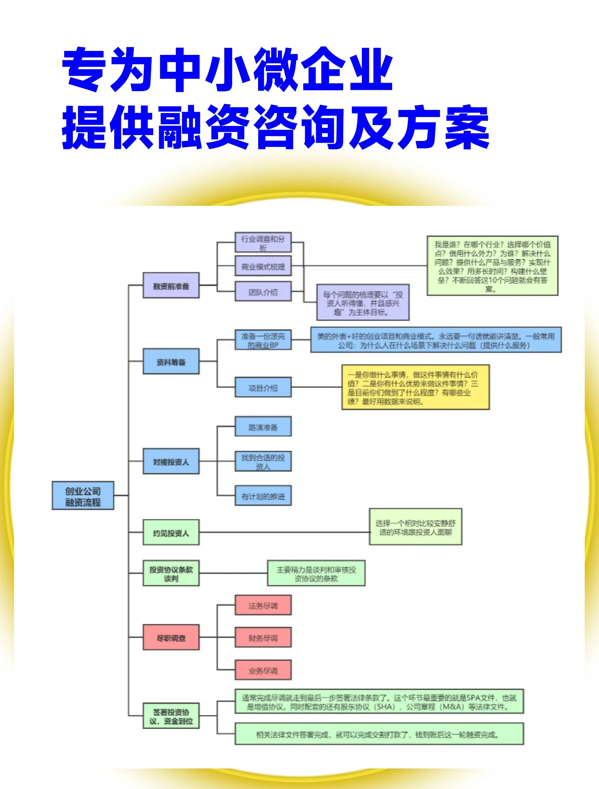 揭阳市宠物企业资金管理(宠物管理机构叫什么)