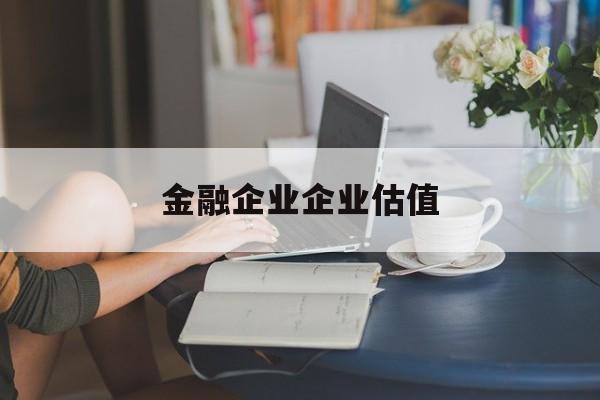 揭阳市金融企业企业估值(最新企业估值怎么填)